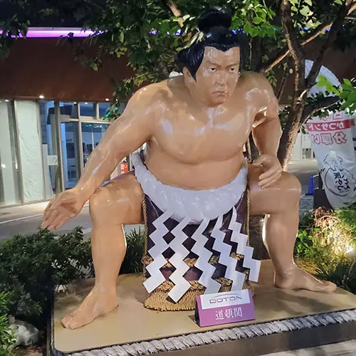 jeux vidéo japonais collection